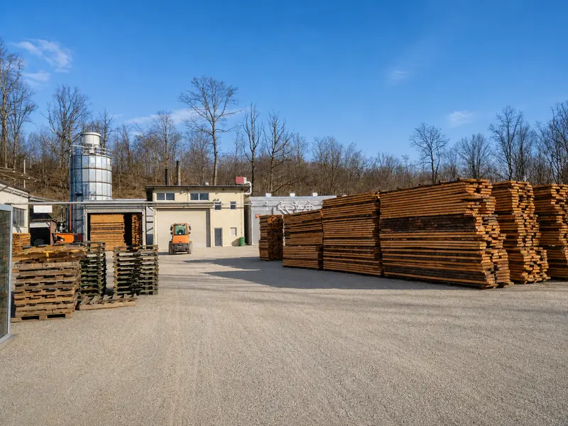 Clean Pašinac factory yard with stacked sawn timber under clear daylight