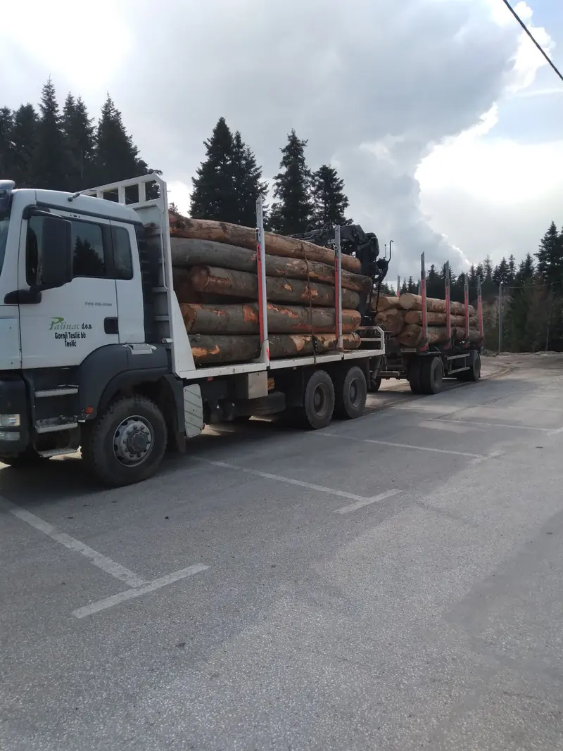 Pašinac-Holztransporter mit Anhänger befördert Stämme vor Waldkulisse