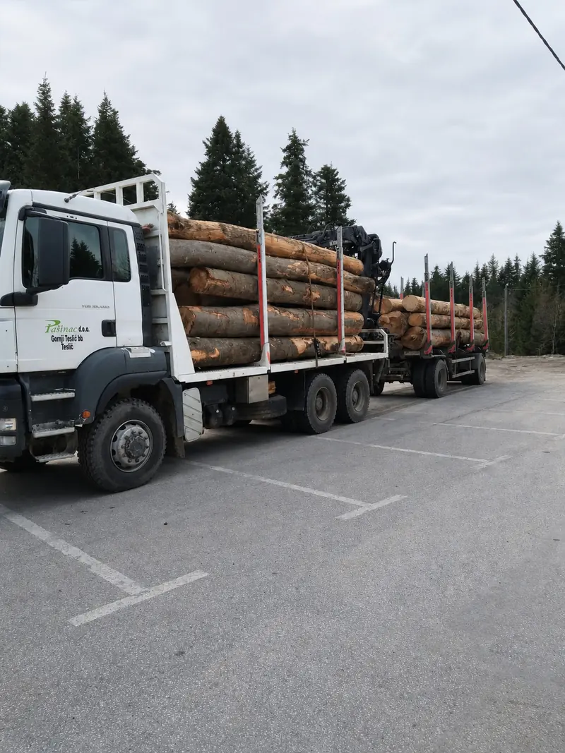 Kamion Pašinca s prikolicom prevozi trupce na pozadini šume