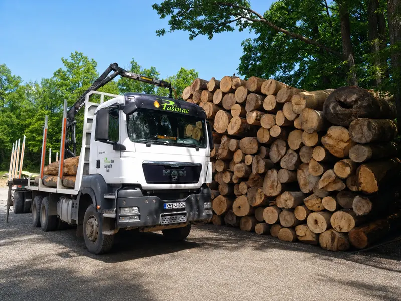 Pašinac log truck beside a neatly stacked hardwood log inventory
